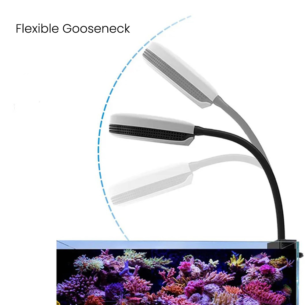 Spectra SP20 20W Aquarium LED  - огляд і ціна Reef Lighting