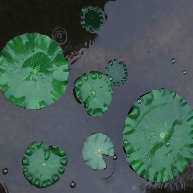 2026 Artificial Water Lily Lot - огляд і ціна Ocean Aquarium